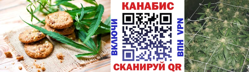 Cannafood конопля omg зеркало Навашино