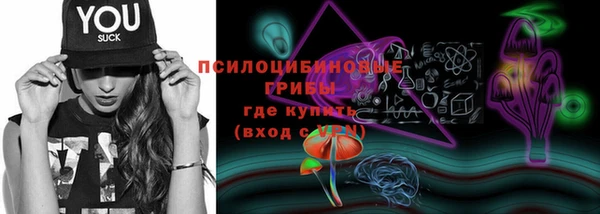 гидра Михайлов