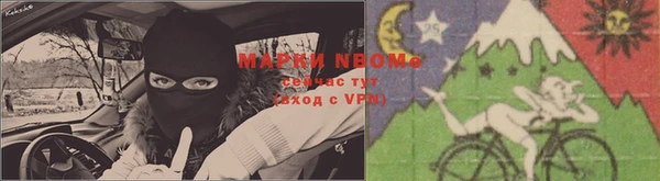 ешки Медногорск