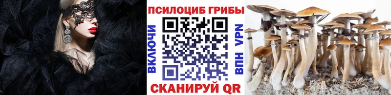 мега вход  купить закладку  Навашино  Псилоцибиновые грибы GOLDEN TEACHER 
